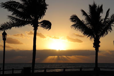 Silhouette palm trees on beach against sky during sunset