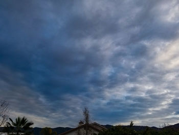 Low angle view of silhouette trees against sky