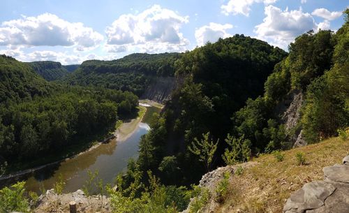 Scenic view of river amidst trees against sky