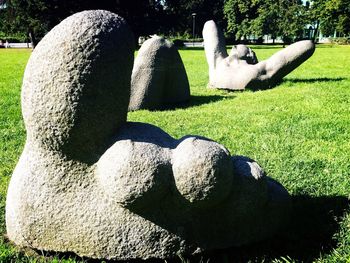 Low section of man with shadow on grass