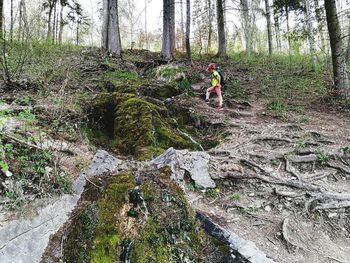 Person standing by stream in forest