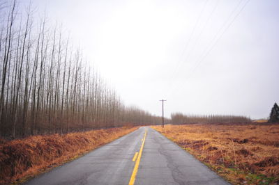 Road amidst bare trees against sky