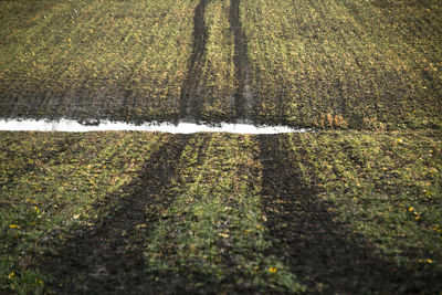 Full frame shot of agricultural field