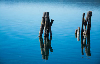 Wooden posts in lake