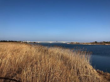 Scenic view of sea against clear blue sky