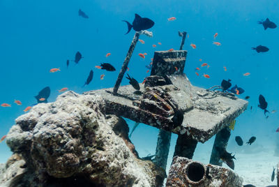 Special office desk underwater