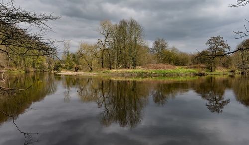 Scenic view of lake by trees against sky