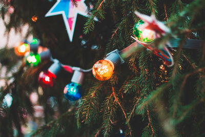 Close-up of christmas tree at night