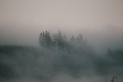 Scenic view of landscape against sky during foggy weather