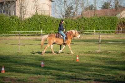 Man riding horse on farm