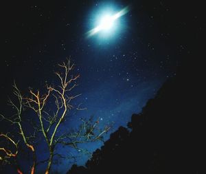 Low angle view of tree against sky at night