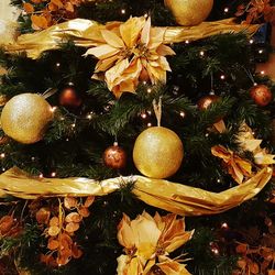 Close-up of christmas tree