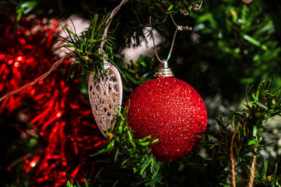 Close-up of christmas decoration hanging on tree