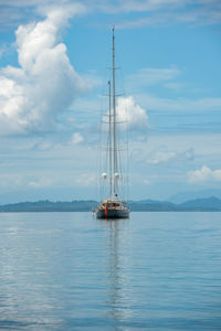 Sailboat sailing in sea against sky