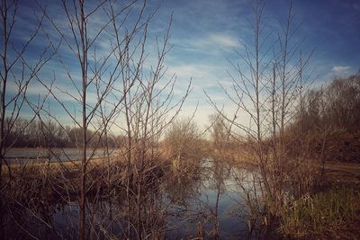 Scenic view of lake against sky