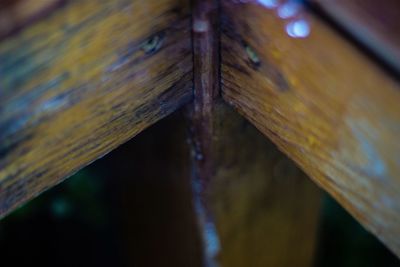 Close-up of wooden plank