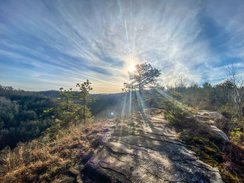 nature