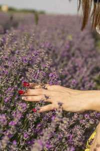 Cropped hand of woman touching flowers