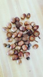 High angle view of shells on table