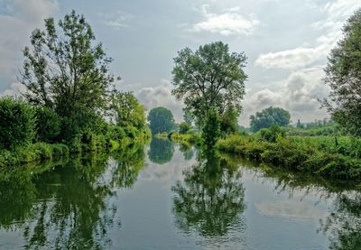 Scenic view of lake by trees against sky