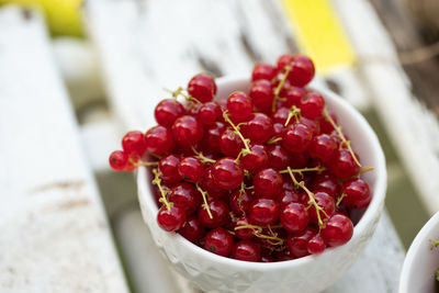 High angle view of red berries