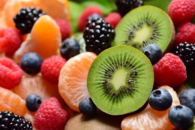 Close-up of multi colored fruits