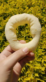 Close-up of hand holding food