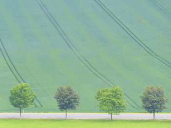 Trees on field against clear sky