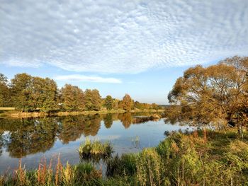 Reflection of trees in lake against sky