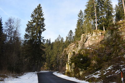 Snow covered road amidst trees against sky