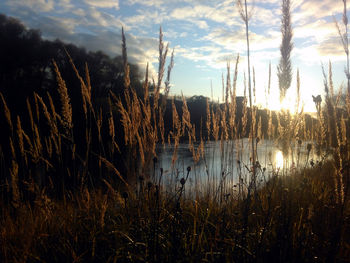 Scenic view of lake against sky at sunset