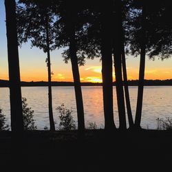 Silhouette trees by sea against sky during sunset