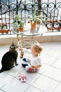 Cat sitting on tiled floor