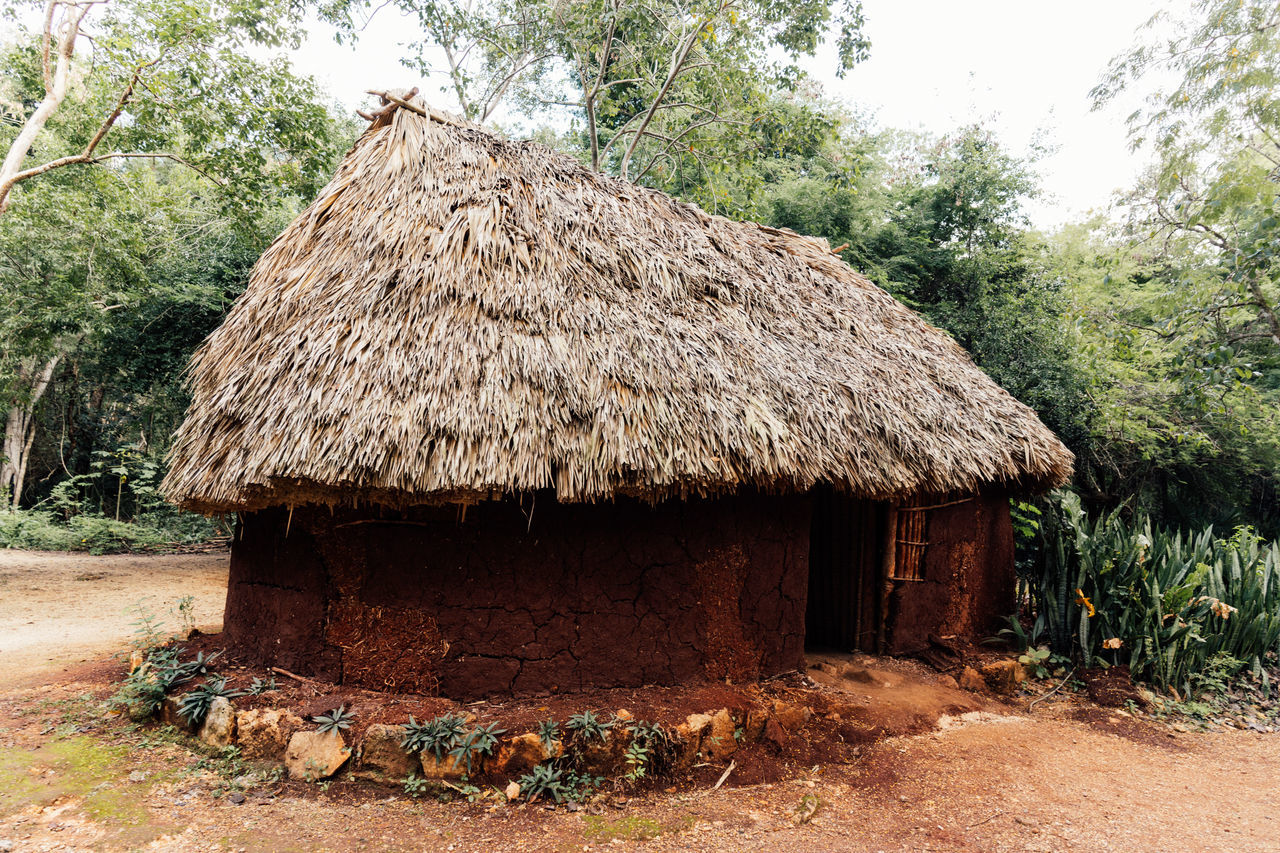 thatching, thatched roof, hut, roof, tree, plant, architecture, built structure, nature, cob, building exterior, land, building, no people, rural area, house, day, village, agriculture, landscape, outdoors, soil, rural scene, growth, wood, field, residential district