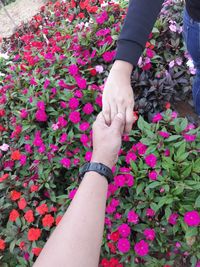 Midsection of people holding hands over pink flowers outdoors