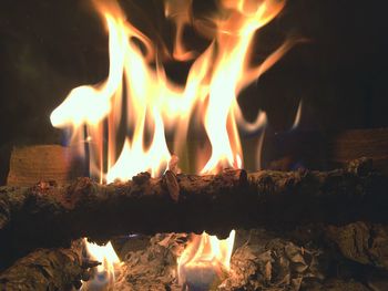 Close-up of fire at night