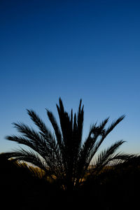 Low angle view of silhouette palm trees against clear blue sky