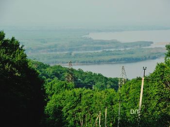 High angle view of trees in forest against sky