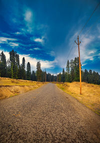 Empty road amidst trees against sky