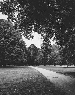 Road amidst trees against sky