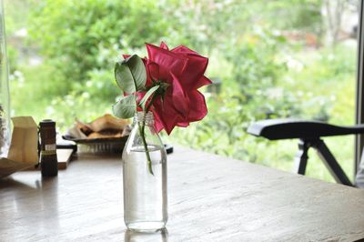 Close-up of rose on table