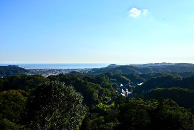Scenic view of sea and trees against blue sky