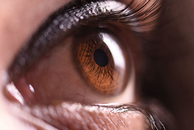 Exteme close-up of human eye