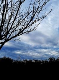 Low angle view of silhouette bare tree against sky