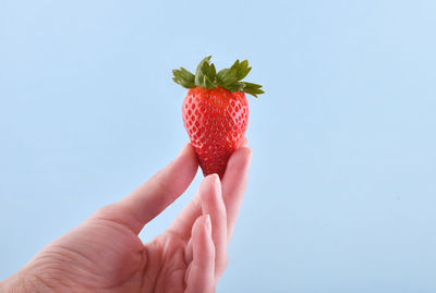 Midsection of person holding strawberry