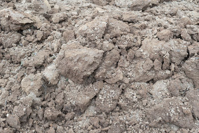 Full frame shot of rocks