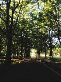 Road passing through trees