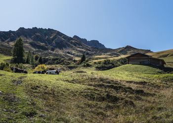 Scenic view of landscape and mountains against clear blue sky