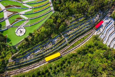 High angle view of road amidst trees