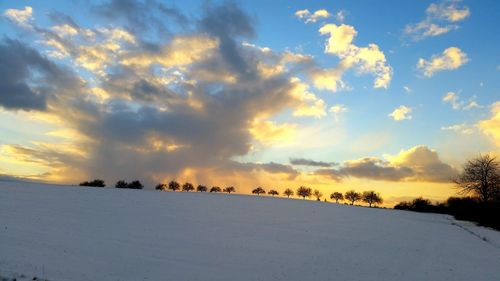 Flock of birds on landscape against sky during sunset